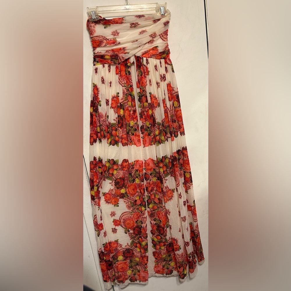 Iconic apple print JPG mesh maxi dress